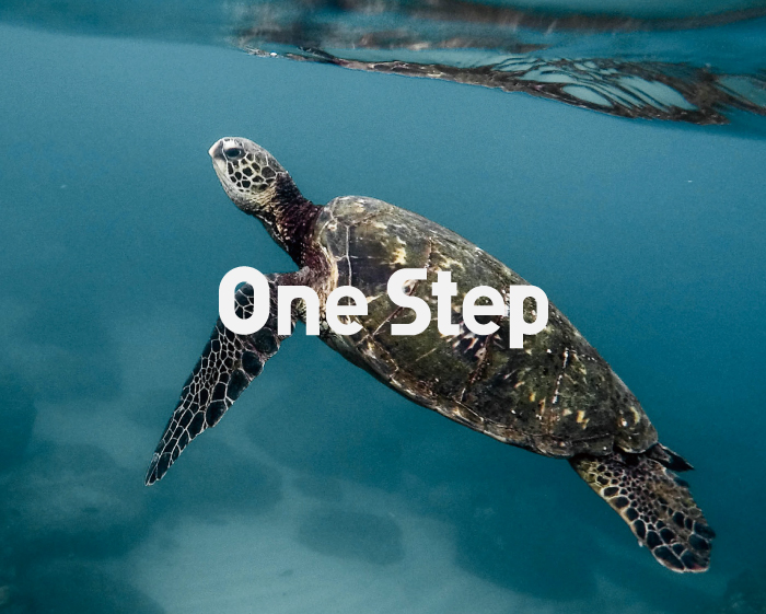 One-Step